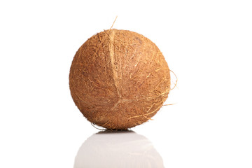 Isolated coconut