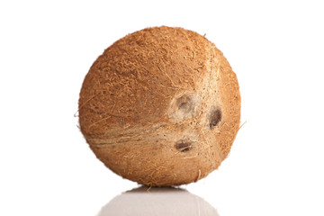 Isolated coconut