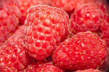 Ripe fresh rapberries