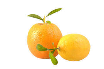 fresh lemon and orange with leaves