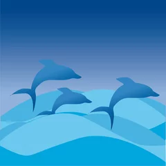 Afwasbaar Fotobehang Dolfijnen dolfijnen