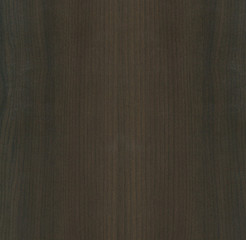 Dark wood texture