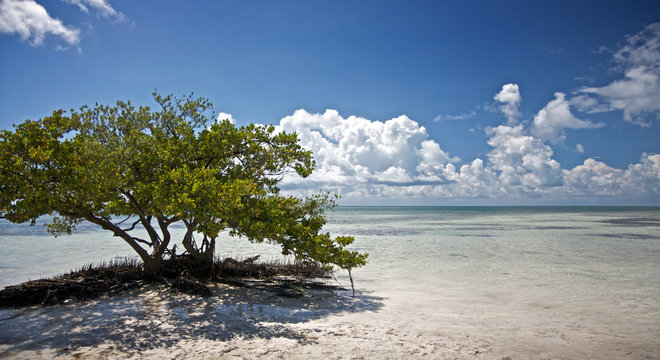Paradies
