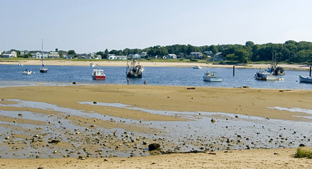 low tide on the coastline in Maine, usa