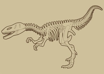 Highly detailed striding Tyrannosaur skeleton vector.
