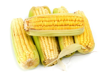 Corn