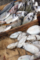 Pesce e Seppie al Mercato