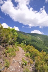 Sendero de montaña