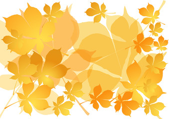 Autumn background. EPS10.