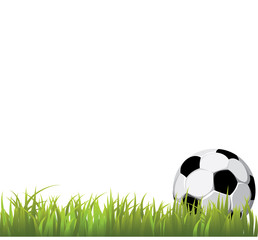 Soccer ball on grass