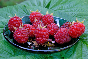 ripe appetizing raspberry