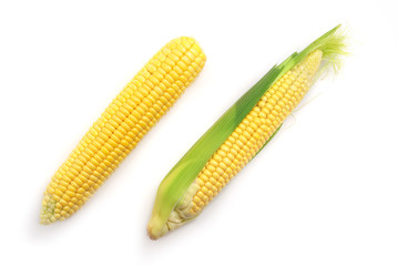 Isolated corn