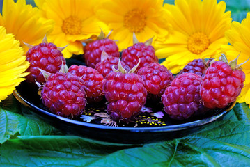 ripe appetizing raspberry