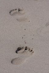 am Strand