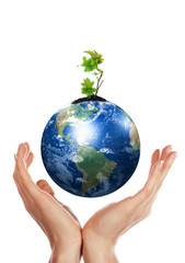 hands, the sprout and  Earth