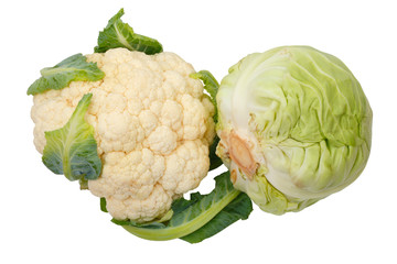 Cauliflower and Cabbage