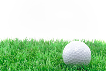 golfball im rasen