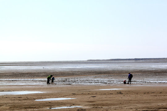 Silhouettes On Mudflat