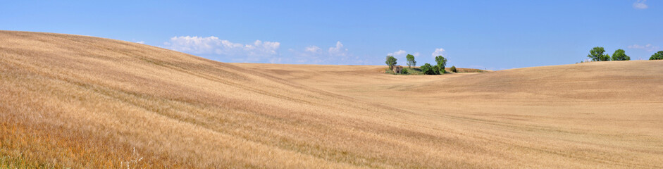 Obraz premium la petite maison dans la prairie