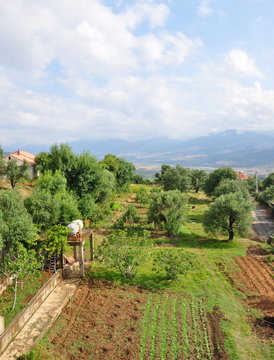jardins de kabylie