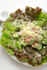 shrimp & avocado salad