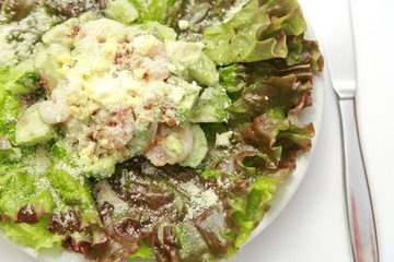 shrimp & avocado salad