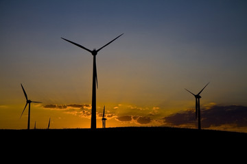 Obraz premium Windmills at sunset