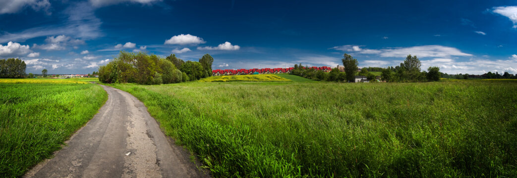 Green Field With Blue Sky Above Panorama