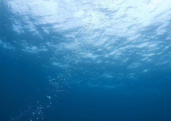 Bubbles in the sea