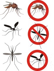 mosquitoes