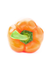 Single orange sweet pepper over white