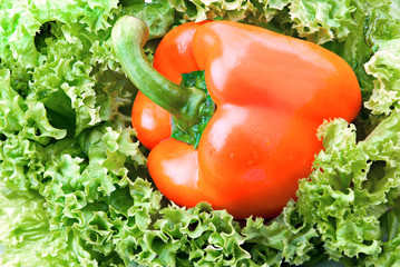 Fresh vitamin background. Close up orange pepper and salad