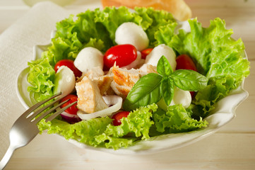 chicken salad with mozzarella - insalata pollo e mozzarella