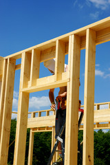 le charpentier en action