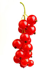 Red currant