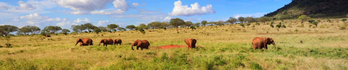 Cercles muraux Kilimandjaro Elefantenherde