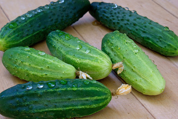 green young cucumber