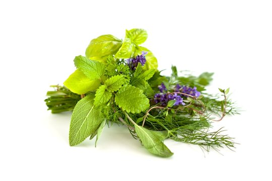 bunch of fresh-picked herbs