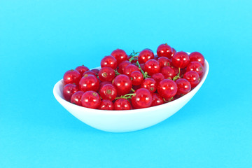 Red currant