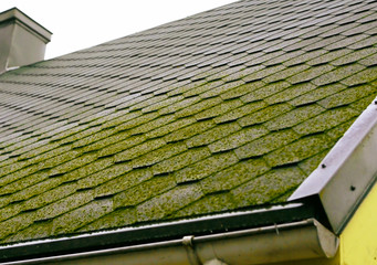 Fototapeta premium Roof tile