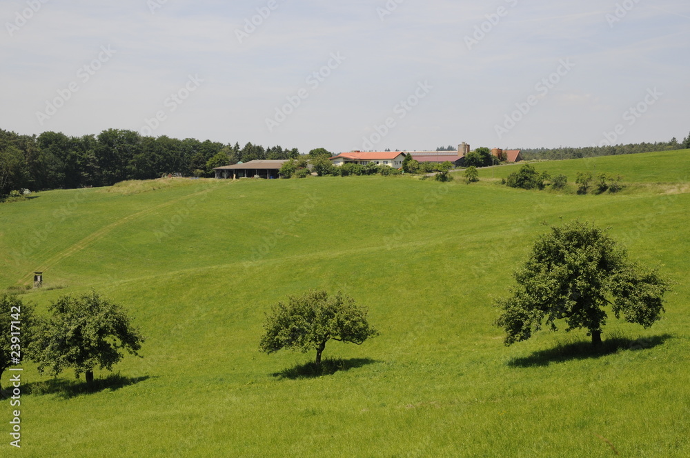 Poster Wiese mit Bauernhof