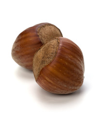 hazelnuts isolated on white background