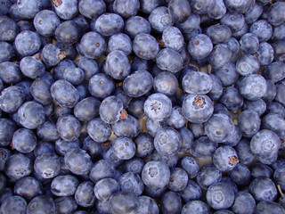 Organic Blueberries
