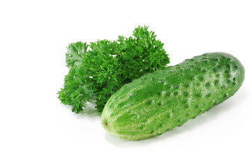 Cucumber with parsley foliage