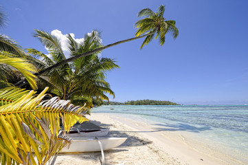 Dream beach in Papetoai, Moorea, French Polynesia - obrazy, fototapety, plakaty