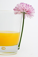 Orange Saft. Blume und Glas