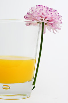 Orange Saft. Blume und Glas