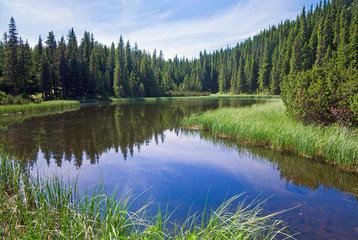 Fototapeta na wymiar Górskie jezioro las lato