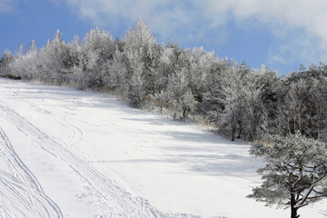 Ski resort