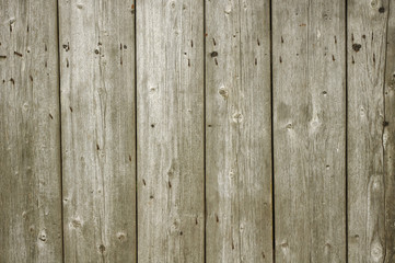 Fototapeta premium Old wood texture